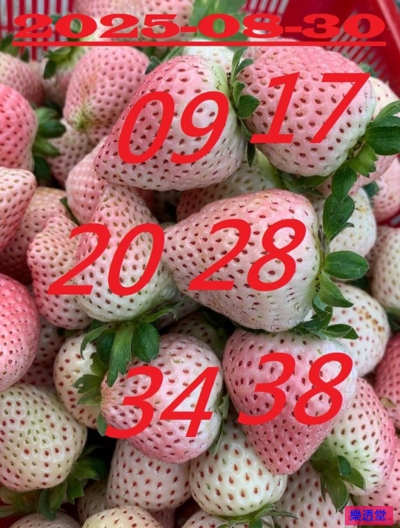 lotto