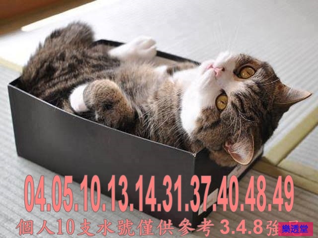 lotto