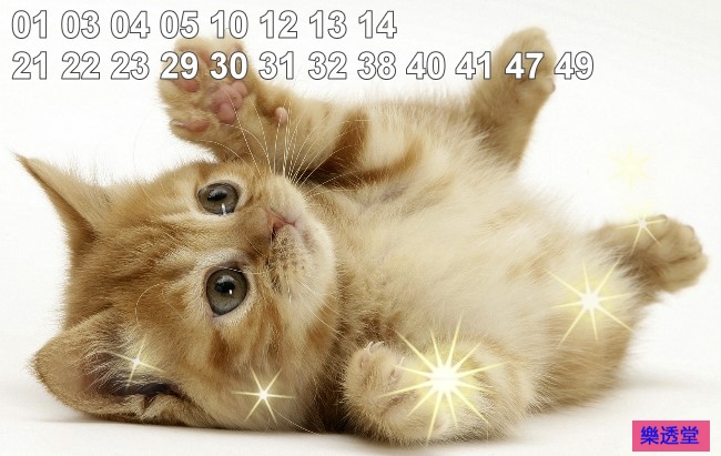 lotto