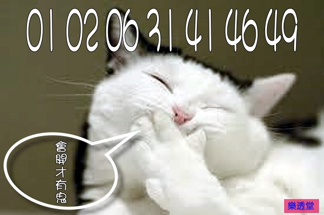lotto
