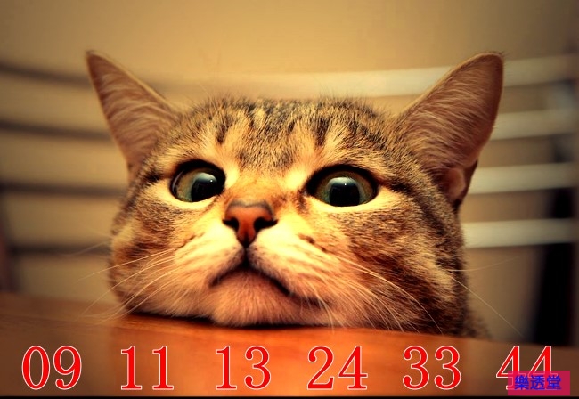 lotto