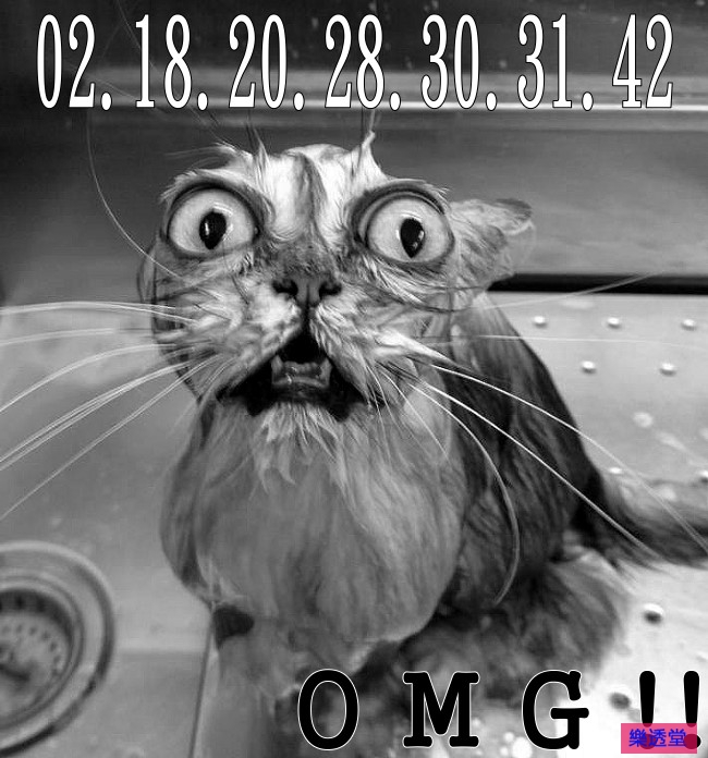 lotto