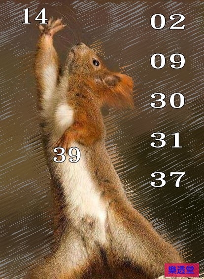 lotto
