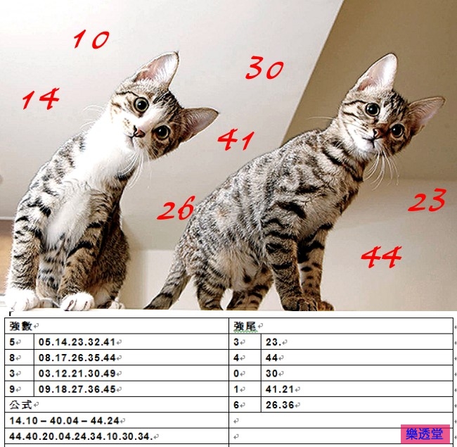 lotto