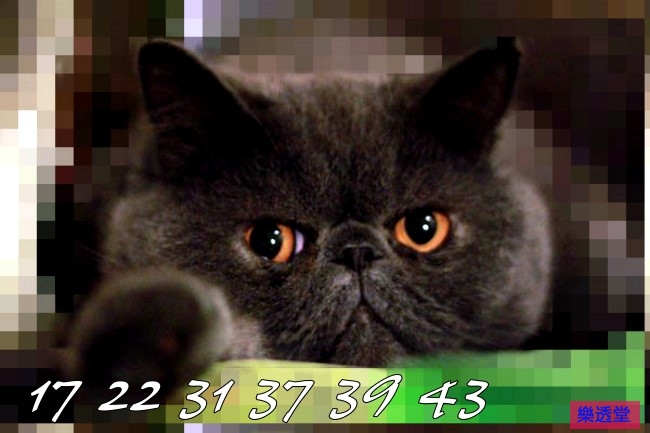 lotto