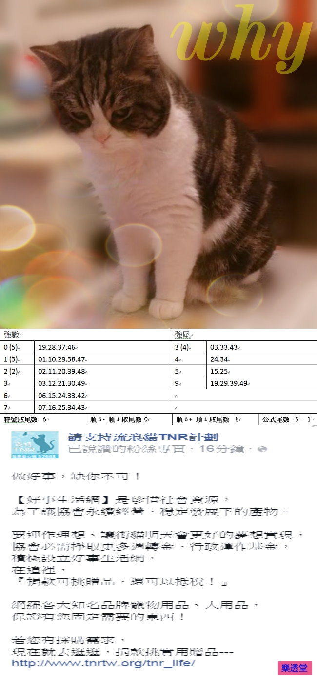 lotto