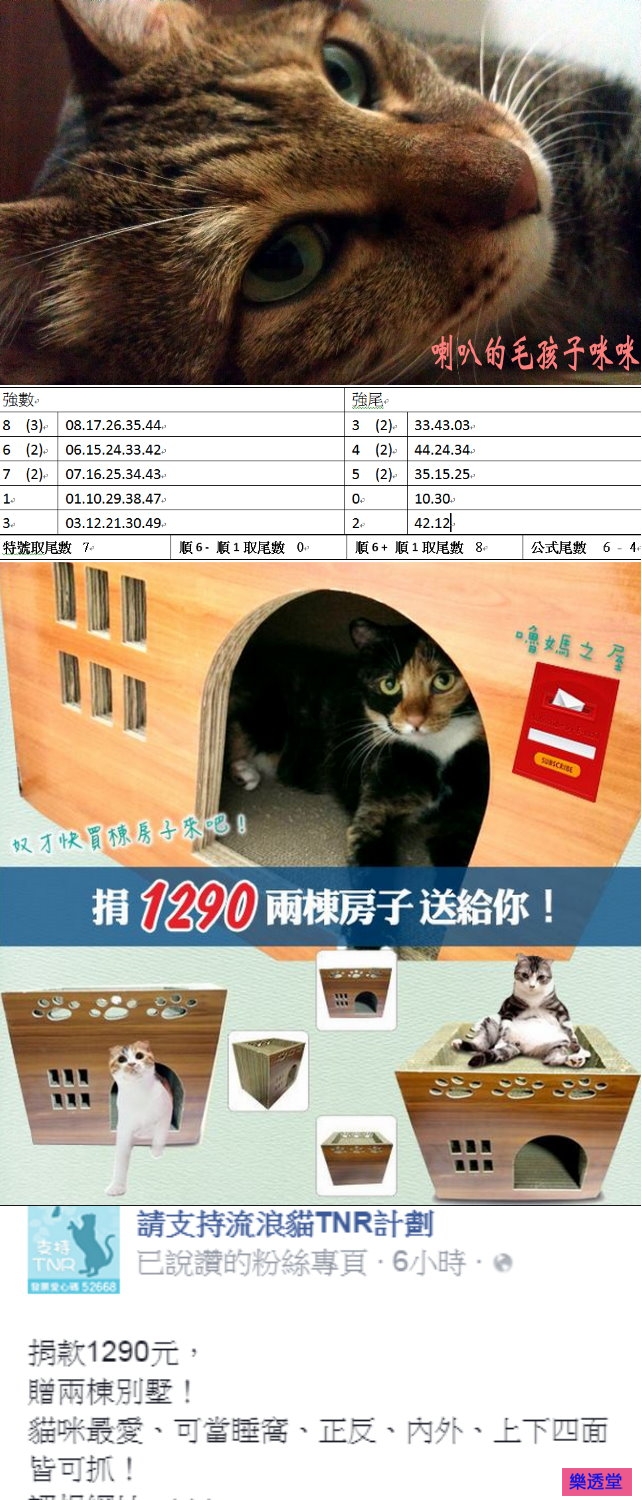 lotto