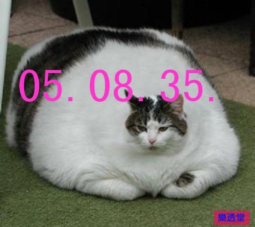 lotto