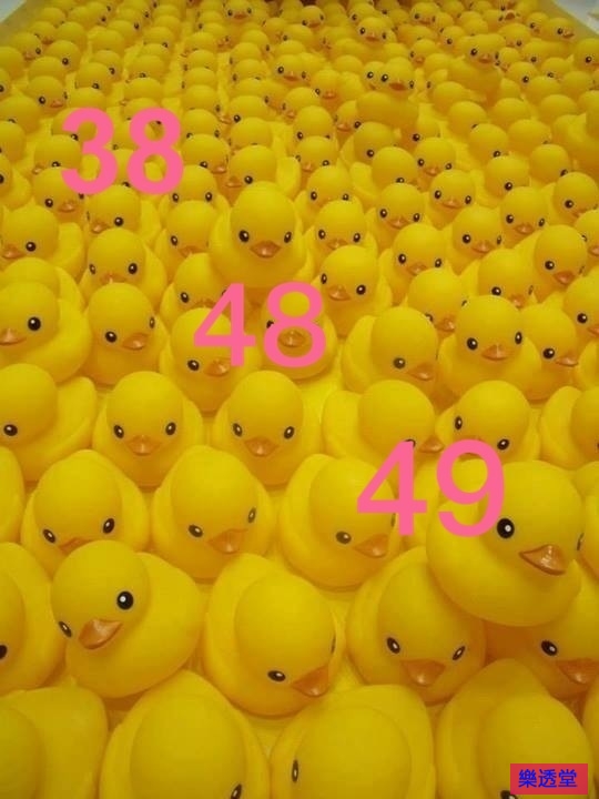 lotto